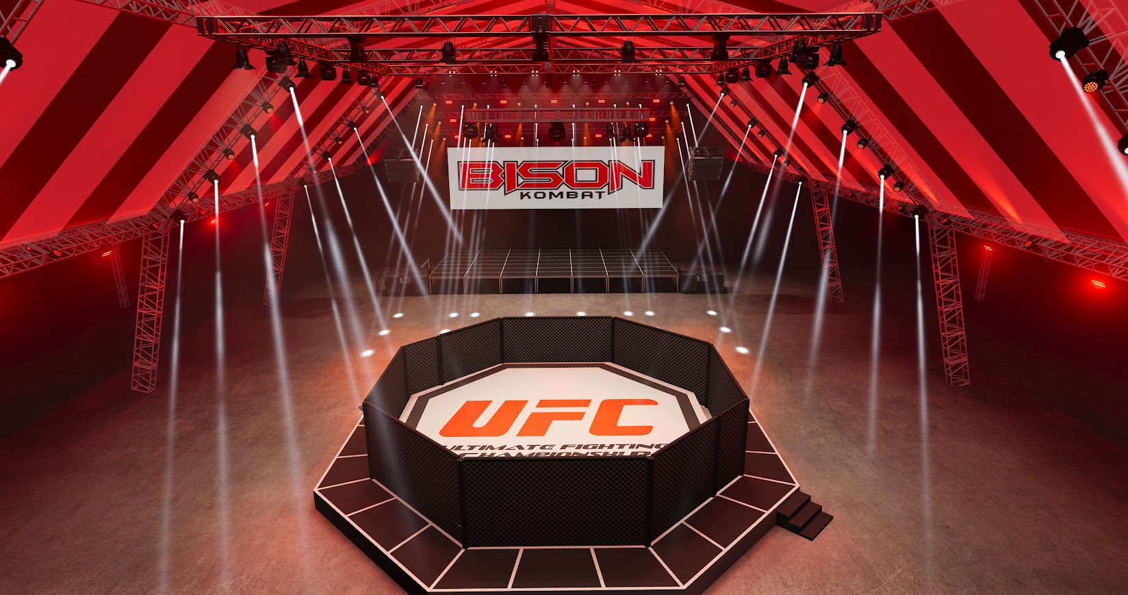 UFC 4